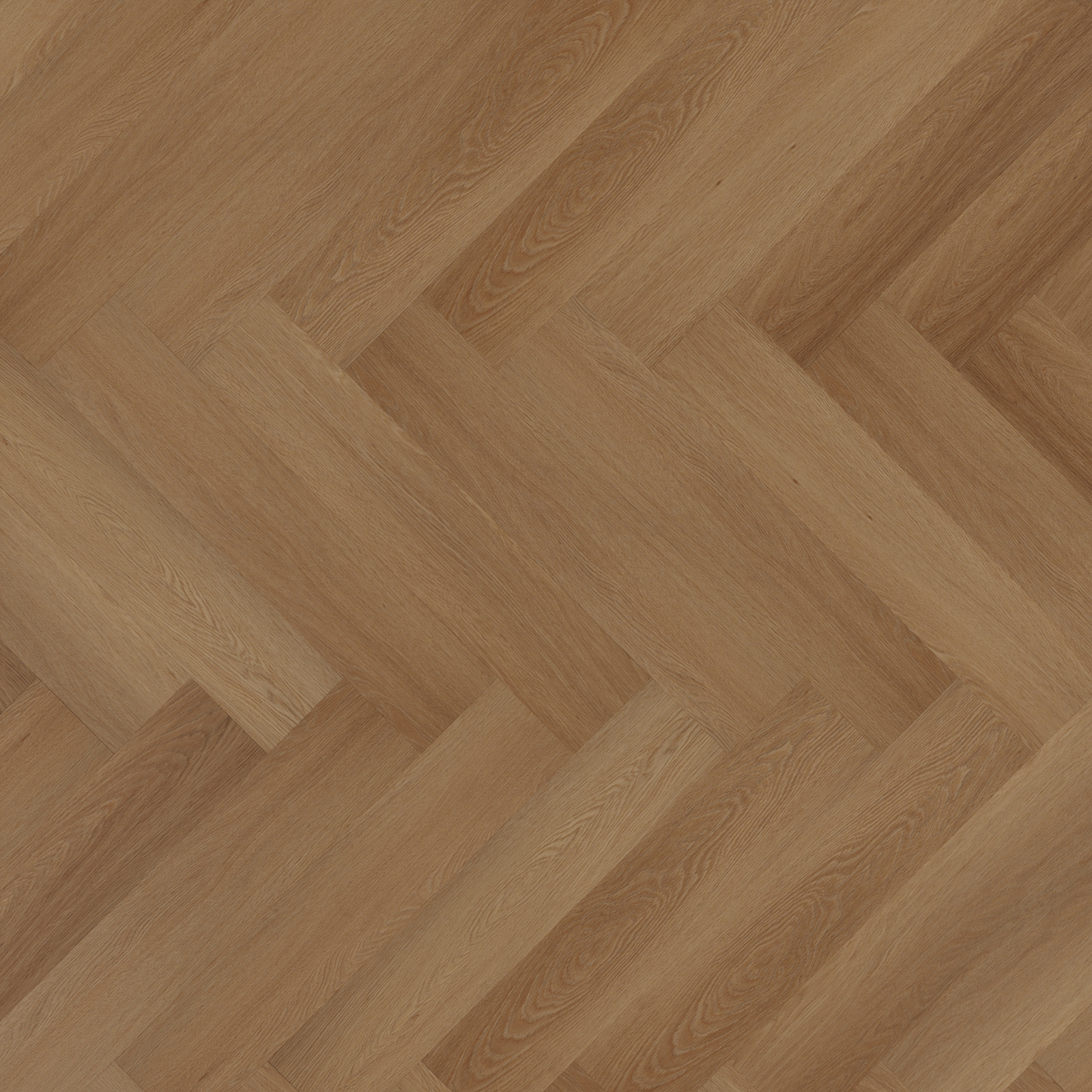 Room5 Western Hemlock Visgraat - Klik